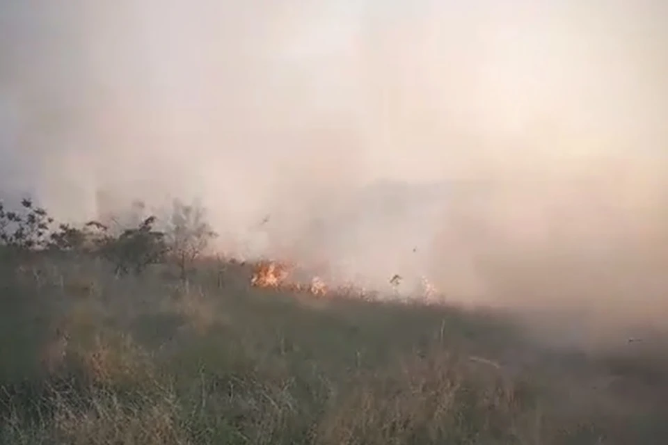 6 мая на территории ЛНР произошло 23 природных пожара. Фото - МЧС ЛНР