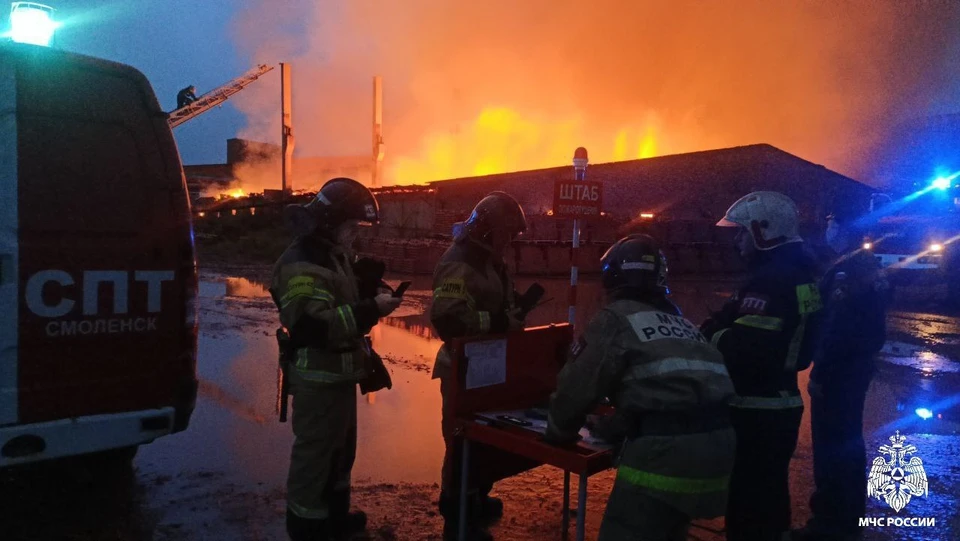 754 пожара произошло в Смоленской области с начала 2024 года Фото: ГУ МЧС России по Смоленской области