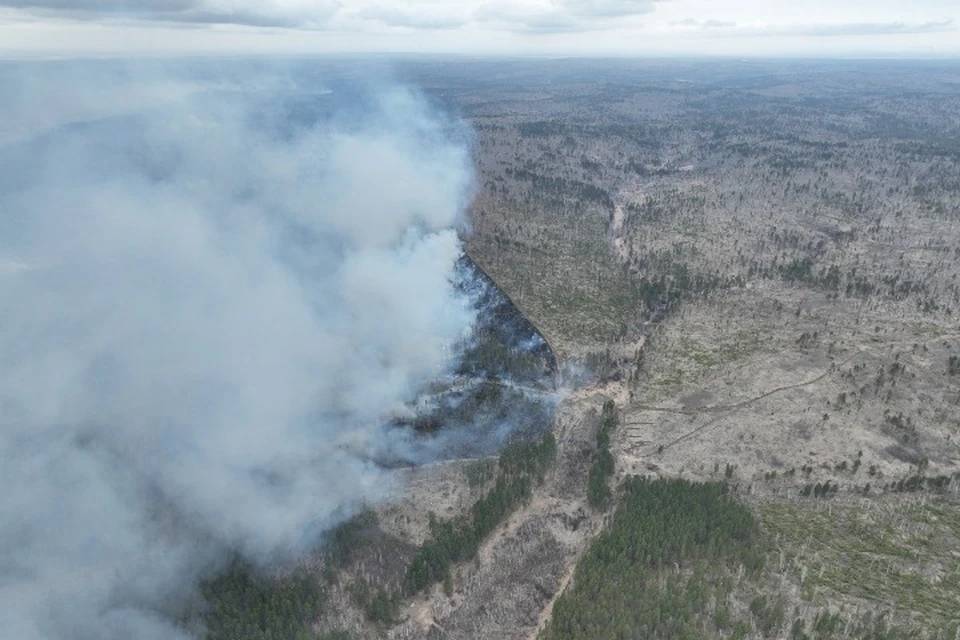 За сутки 7 мая в лесах Иркутской области устранили 19 пожаров