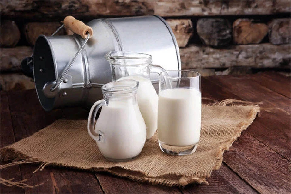С января по март 2024 года в ДНР произвели более 12 тысяч тонн молока. Фото: Минагропром ДНР