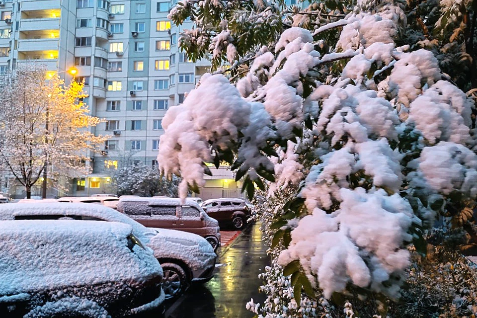 Снег в Москве в мае - редкость, тем более - снежный покров на зеленых деревьях.