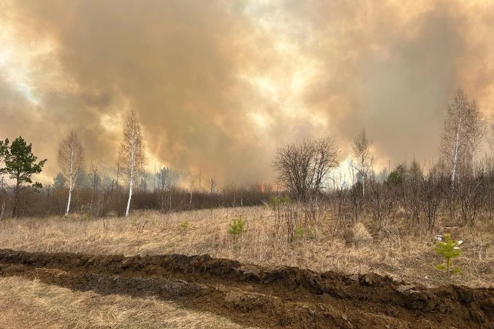 В Иркутской области потушили 12 пожаров 8 мая