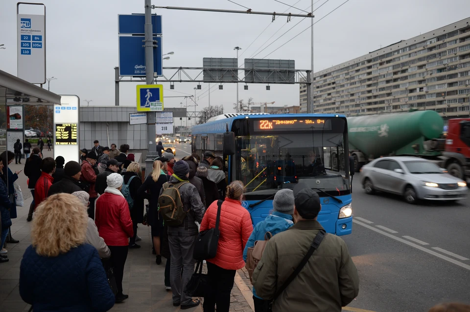 На специальных маршрутах будут работать порядка 700 автобусов