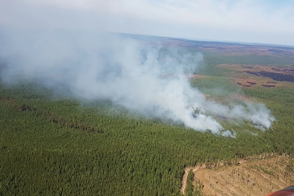 Дополнительные силы для борьбы с пожарами направлены в Хабаровский край и ЕАО