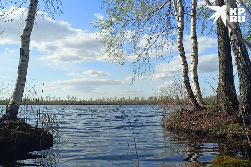 Ликвидировать свалку у Уржинского озера под Рязанью от властей требует прокуратура.