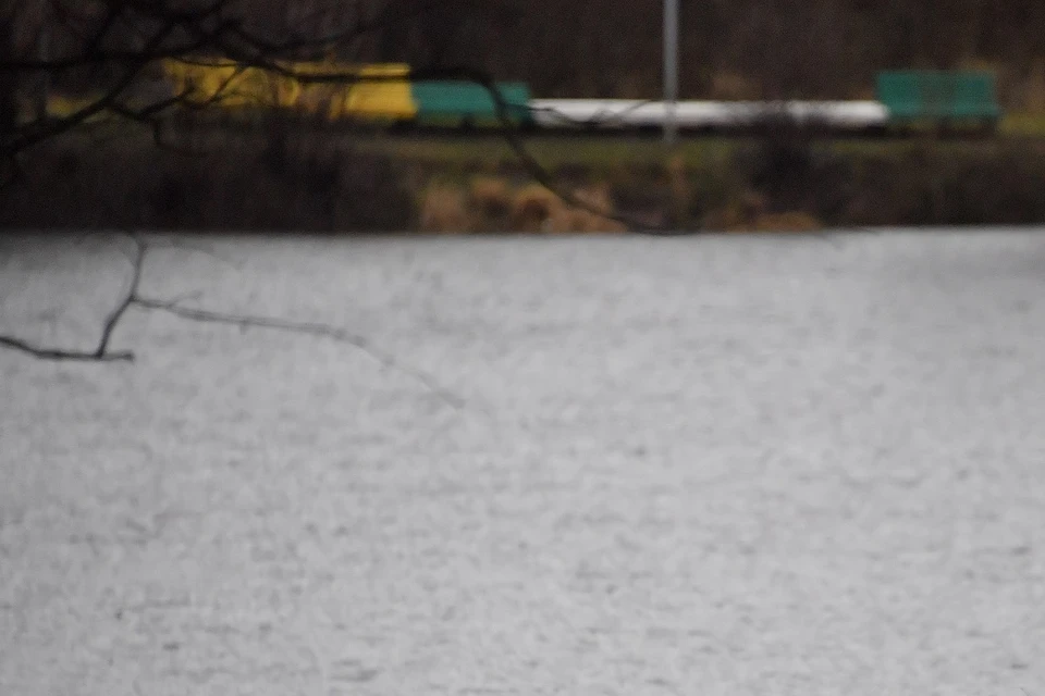 Под Новосибирском в зарослях на берегу реки нашли труп пропавшего мужчины.