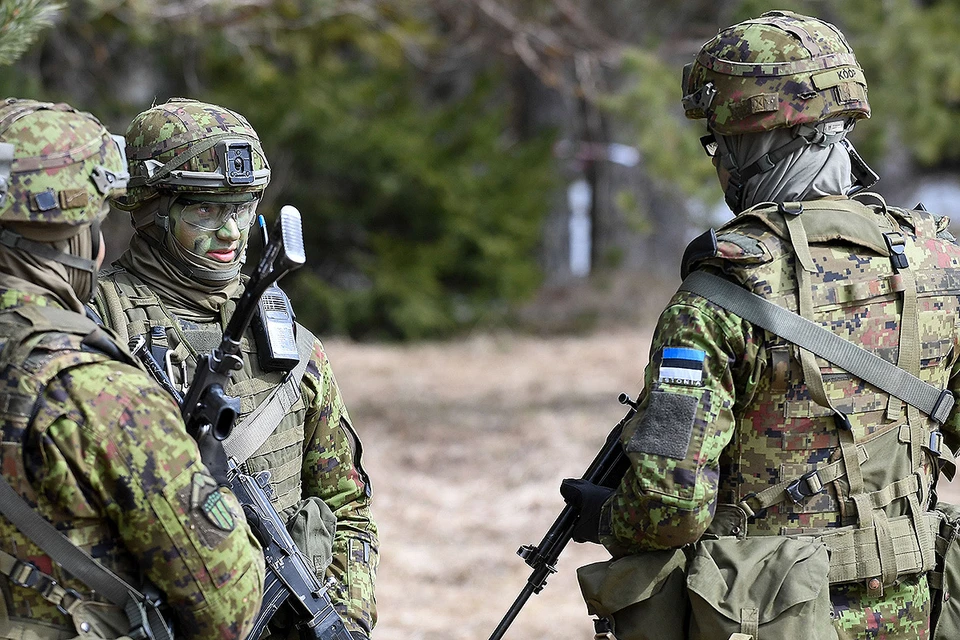 Окончательное решение об отправке эстонских войск на Украину пока не принято, правительство страны пока изучает последствия.