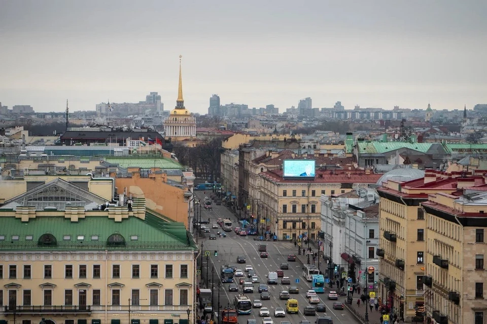 За последние пять лет доступность госуслуг в электронном виде выросла в Петербурге более чем в три раза.