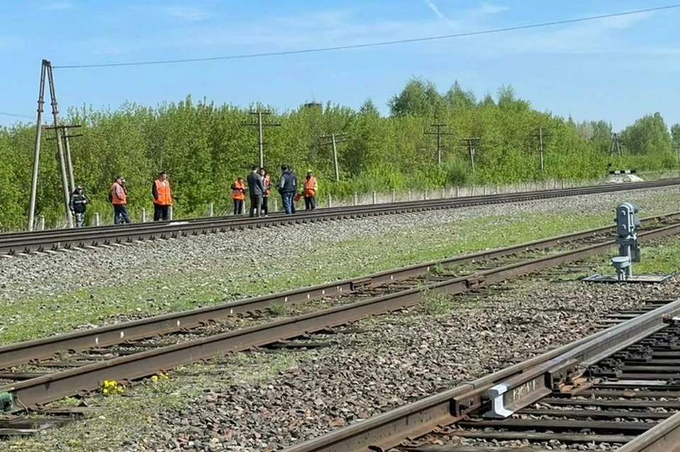 Поезд насмерть сбил подростка в наушниках в Алтайском крае. Фото: Алтайское линейное управление МВД