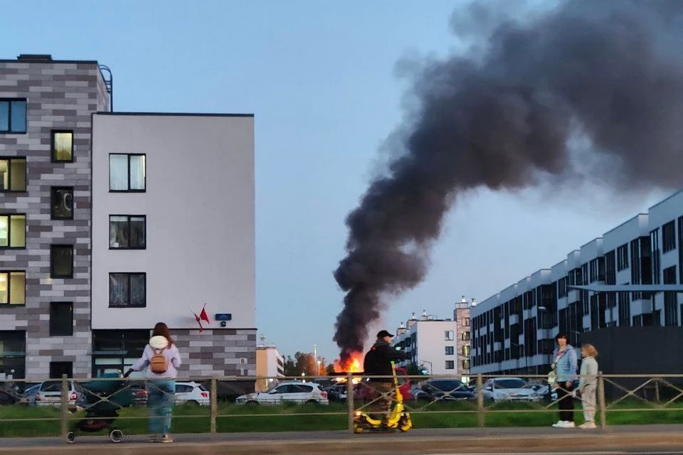 Пожар в 200 квадратных метров разгорелся в частном доме в Красносельском районе Петербурга. Фото: t.me/Megapolisonline