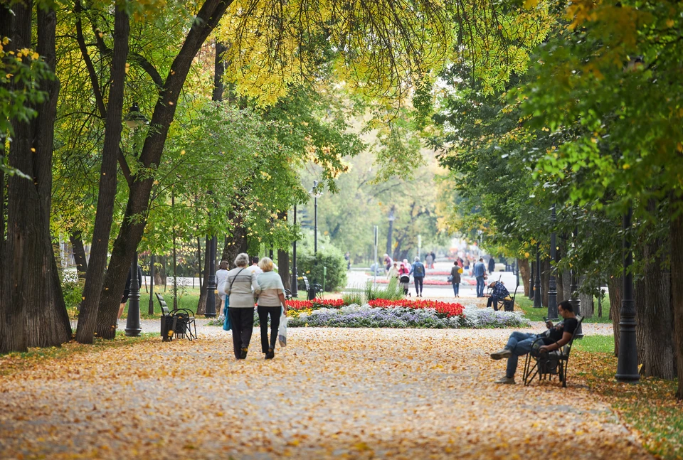 Осень В Екатеринбурге Фото