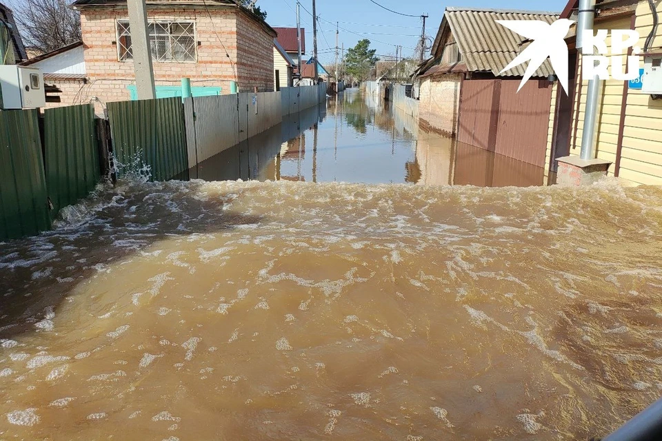 Потоп в оренбурге 2024 фото 19 мая паводковая комиссия будет работать в трех СНТ Оренбурга - KP.RU