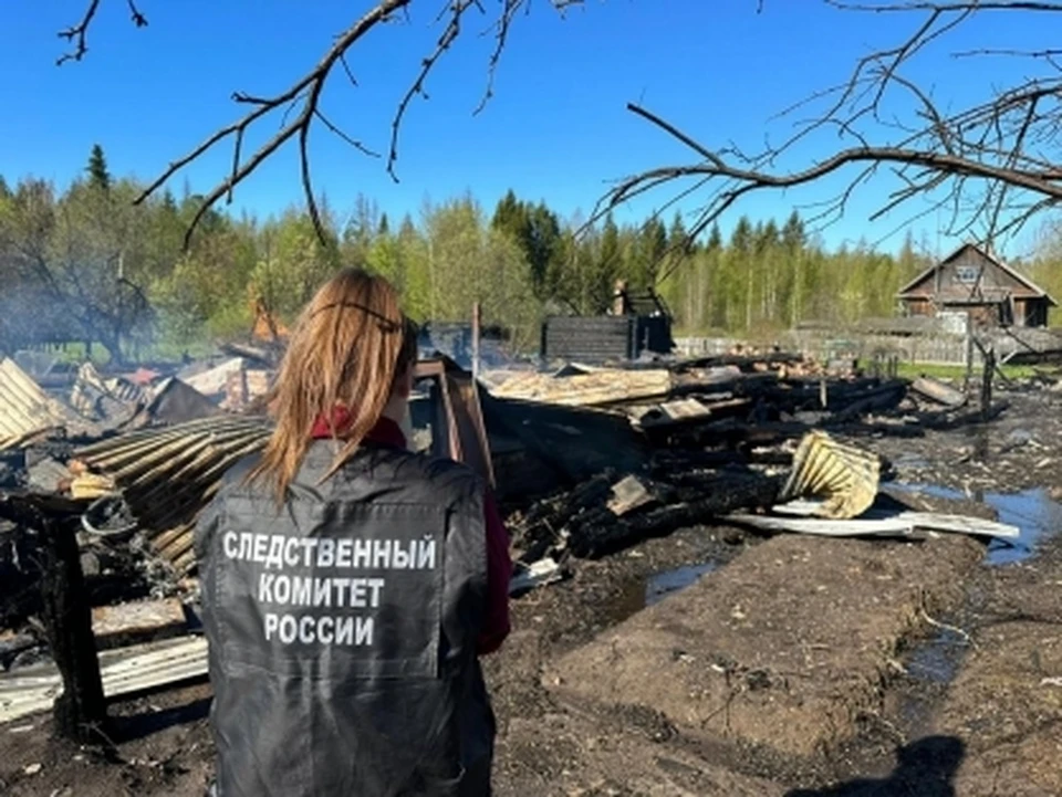Фото: пресс-служба СУ СК России по Костромской области