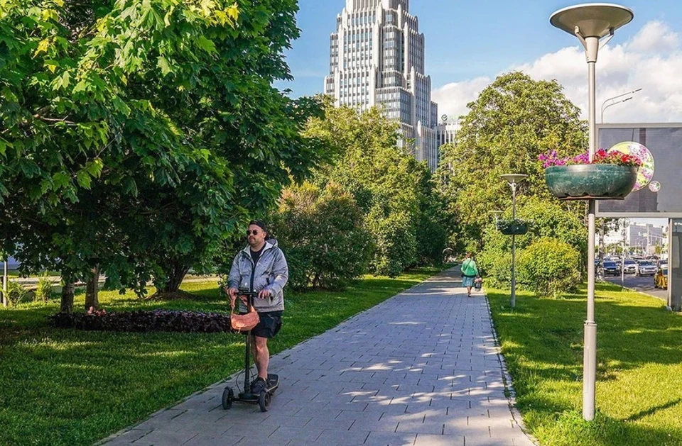 В последнее время слишком много жаловались на укусы клещей. Фото: Пресс-служба комплекса городского хозяйства города Москвы