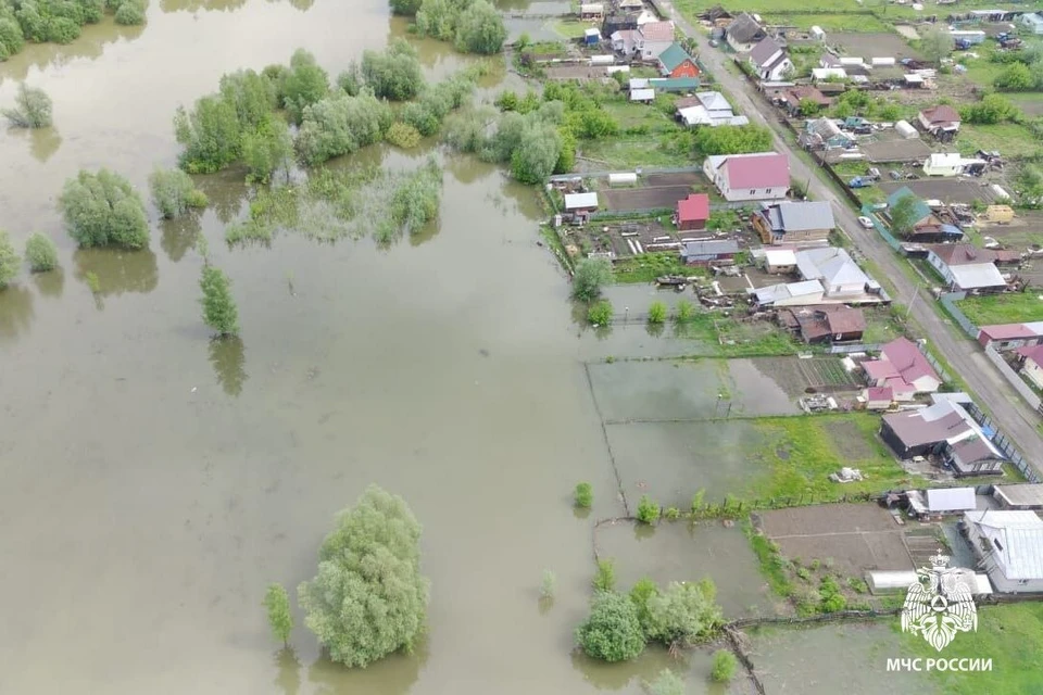 Вода в оби поднимается