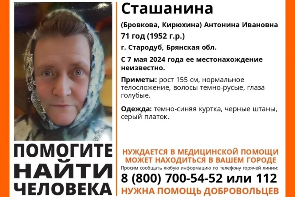 Фото: поисковый отряд "Лиза Алерт".