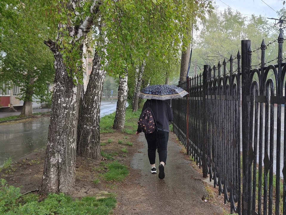 Фото: Дмитрий Еланаков