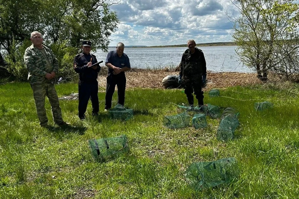 Во дворе жилого дома одного из браконьеров обнаружили бассейны, наполненные живыми раками.