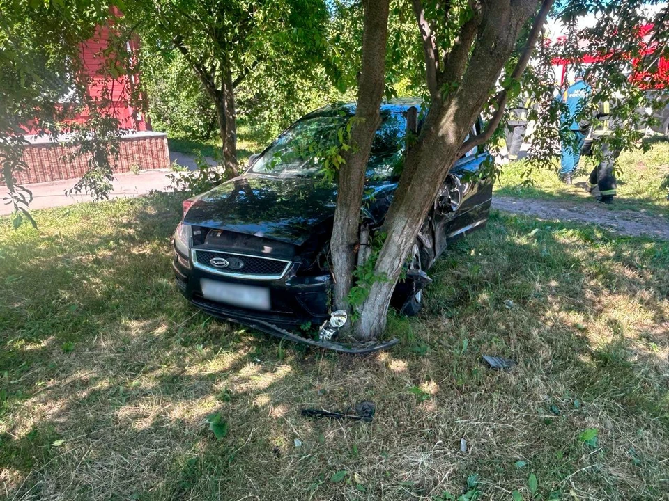 фото Госавтоинспекции Воронежской области