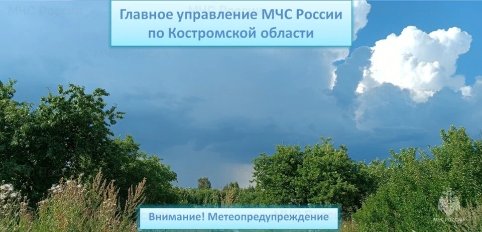 Фото: пресс-служба ГУ МЧС России по Костромской области