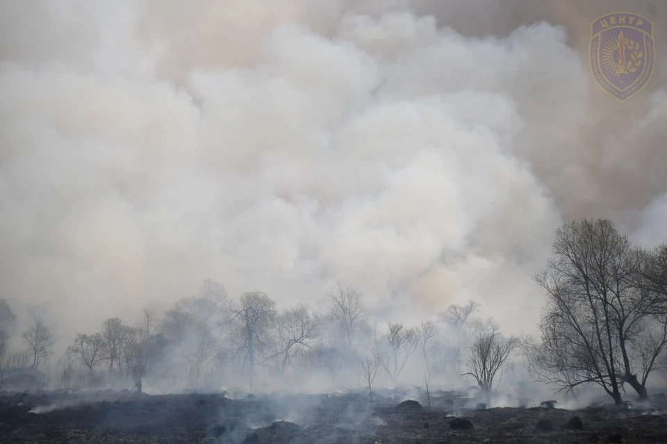 Приамурье продолжает страдать от огня. Фото: Центр гражданской защиты и пожарной безопасности