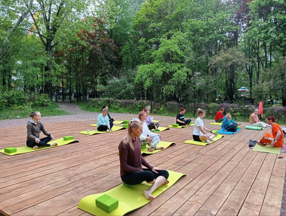 В ульяновском парке «Семья» 2 июня пройдет очередное занятие по йоге. ФОТО: администрация Ульяновска