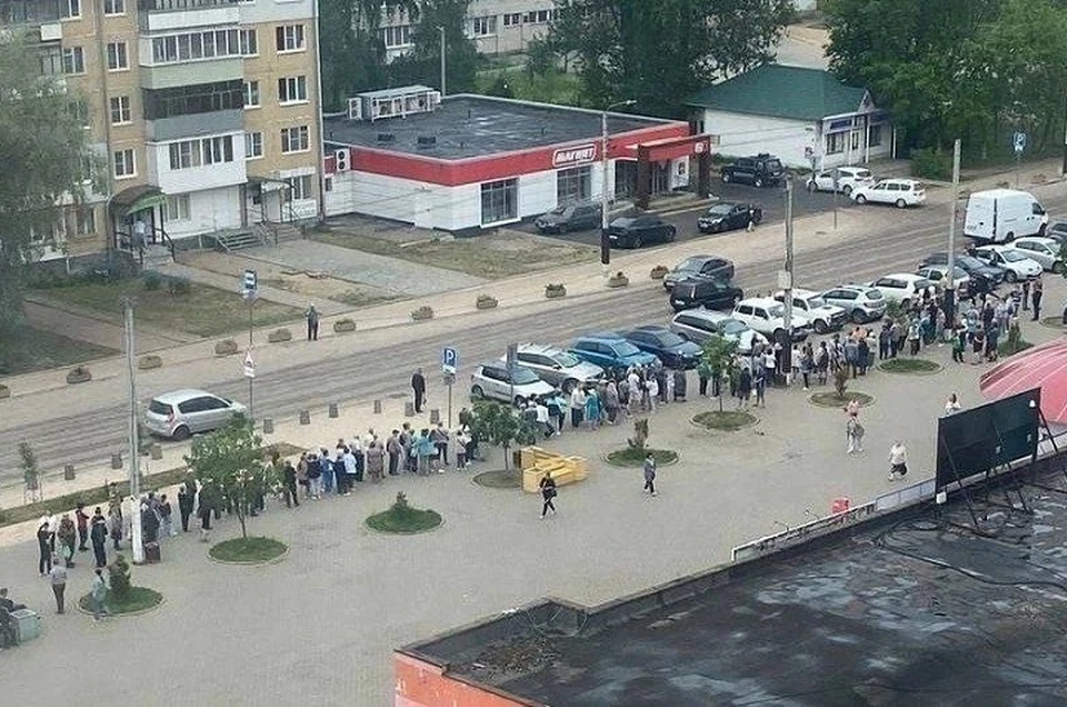 Кедры в Тутаеве пользуются спросом. ФОТО: группа "Жесть Ярославль" ВКонтакте