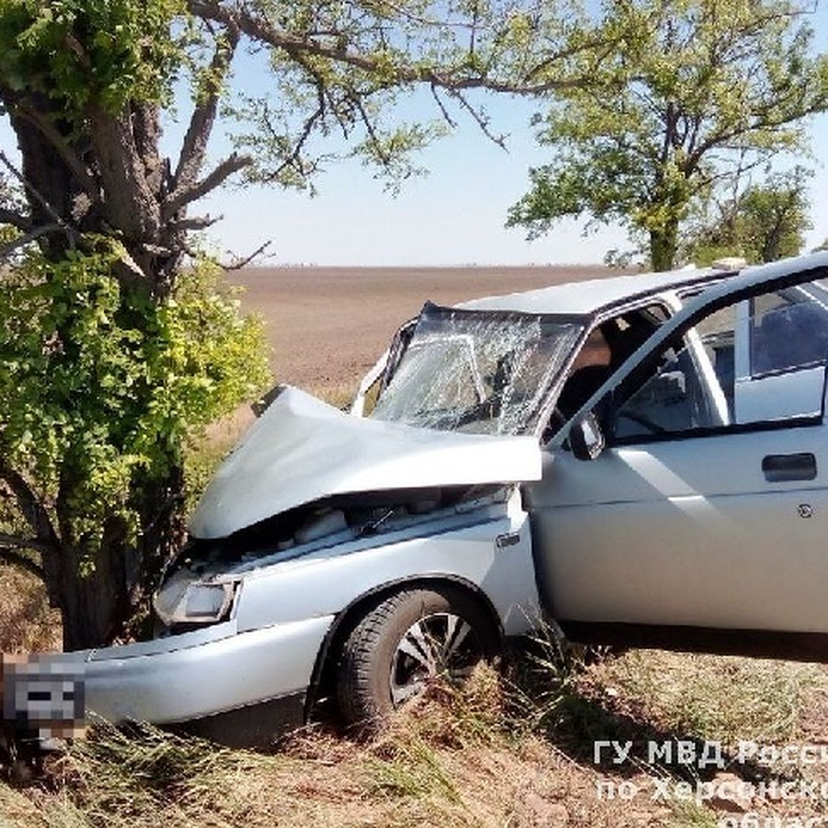 В Херсонской области легковушка на большой скорости врезалась в дерево -  KP.RU