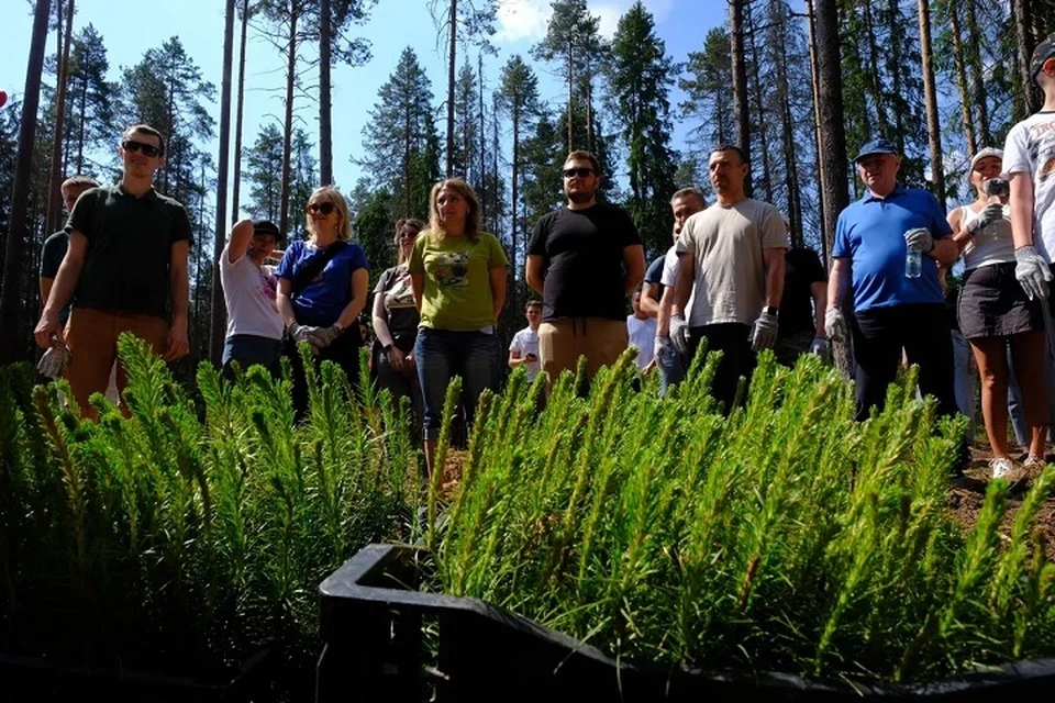 Фото предоставлено пресс-службой METEOR lift. Волонтёры приняли участие в акции «Посади дерево»