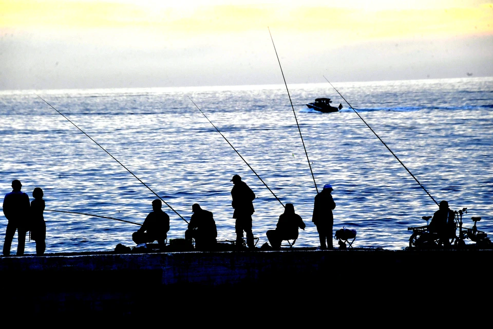 Весь улов в 400 килограммов упал на землю, а горе-рыбаки убежали.