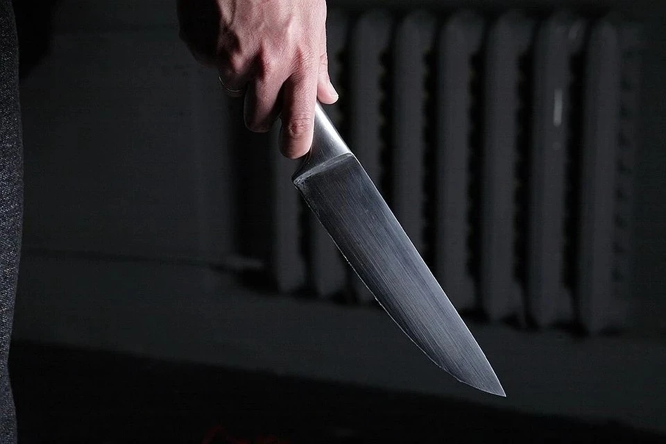 Житель Люберец пырнул знакомую ножом