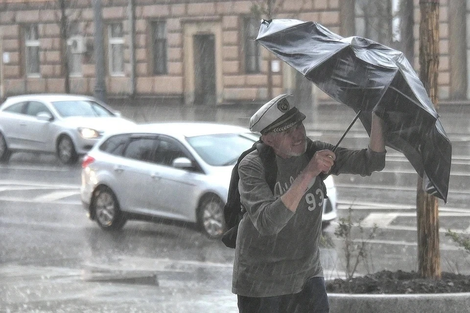 Метеоролог Позднякова: в Москву придут дожди с грозами