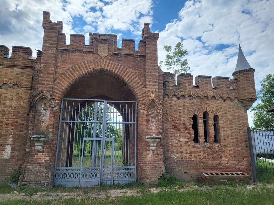 Васильевский замок в Запорожской области