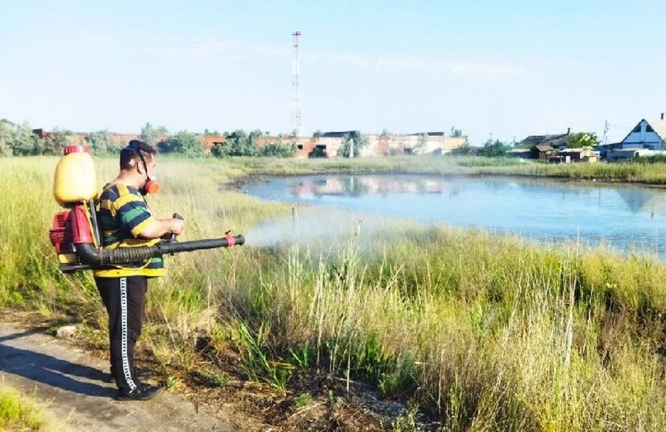 В Бердянске Запорожской области камышовые зоны и лиманы обработали от комаров. ФОТО: администрация Бердянска