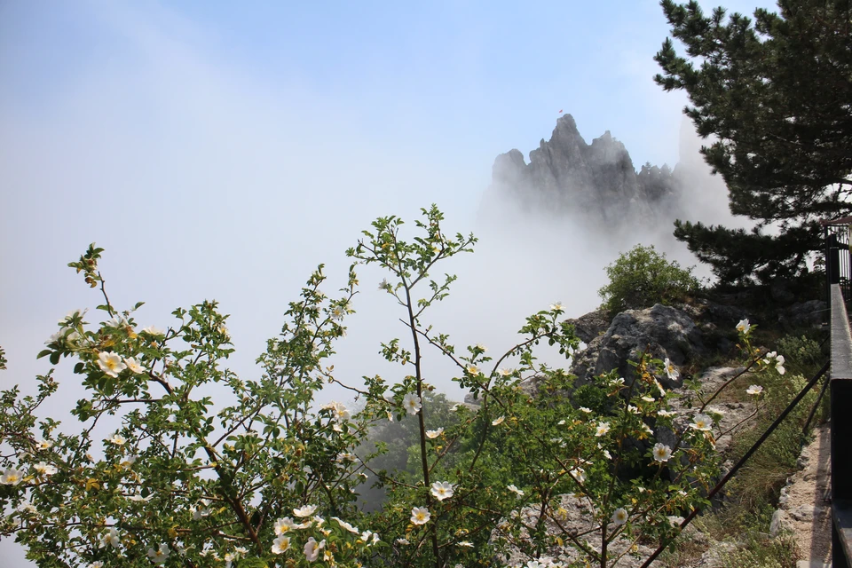 На Крымский полуостров надвигаются дожди.