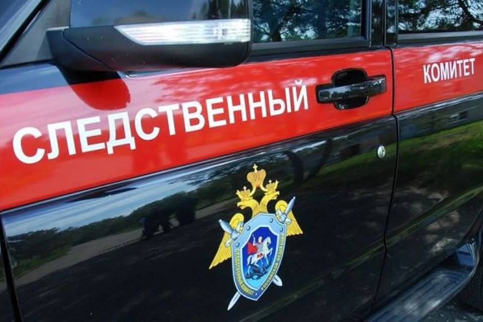Проводится доследственная проверка по инциденту в поселке Новозавидовский. Фото: СУ СК РФ по Тверской области