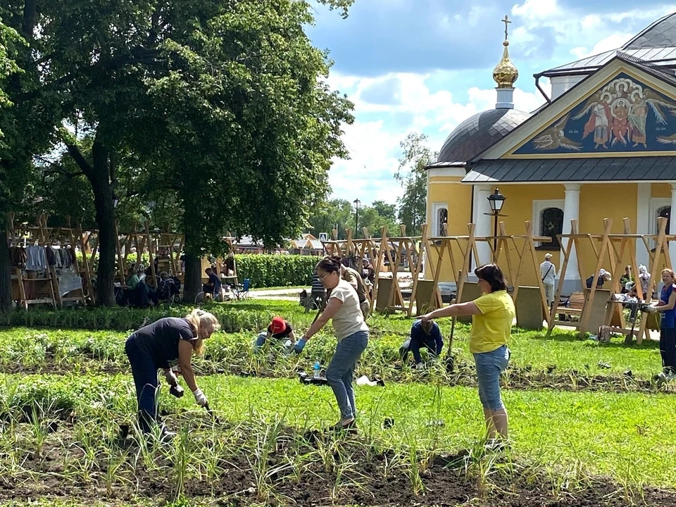 Фото из официальной группы Правительства Владимирской области в ВК.