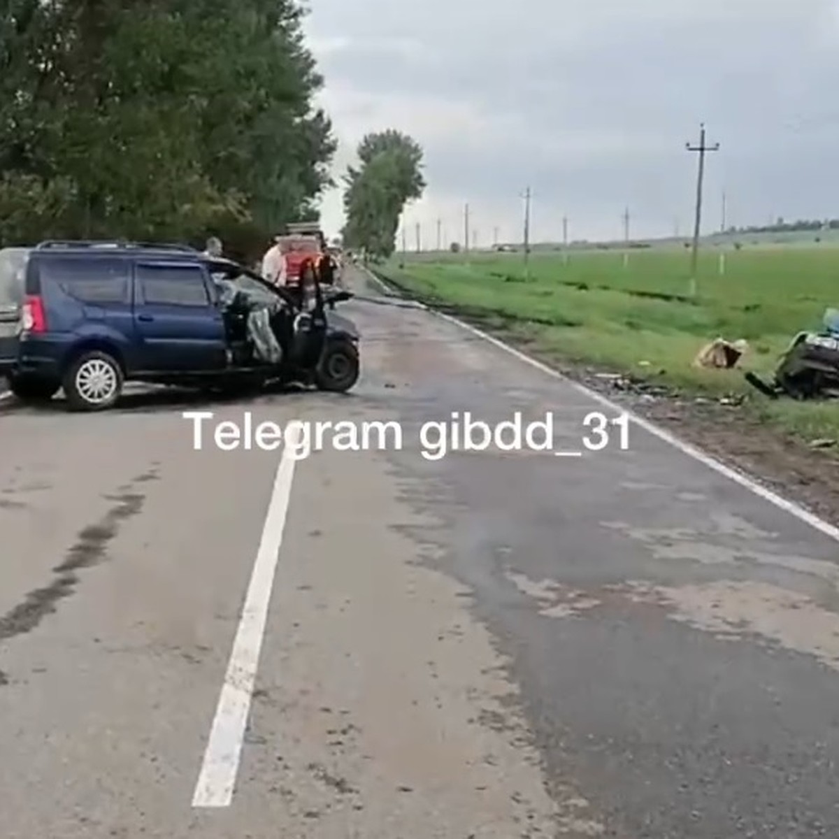 В ДТП в Белгородской области погибли три человека, в том числе годовалый  ребенок - KP.RU