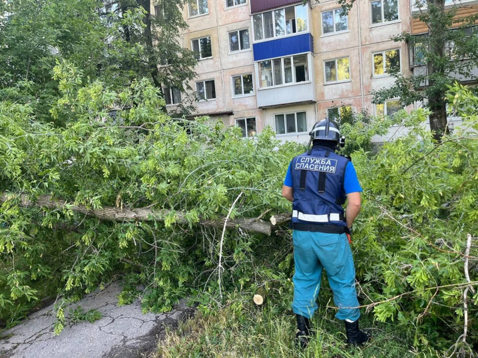 Из-за непогоды 17 июня в Ульяновске упали 14 деревьев. Фото администрация Ульяновска
