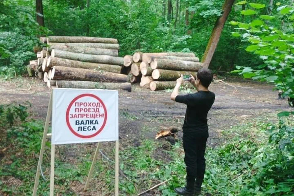 Тем, кто любит гулять по нагорной дубраве, надо обращать внимание на предупреждающие об опасности аншлаги.