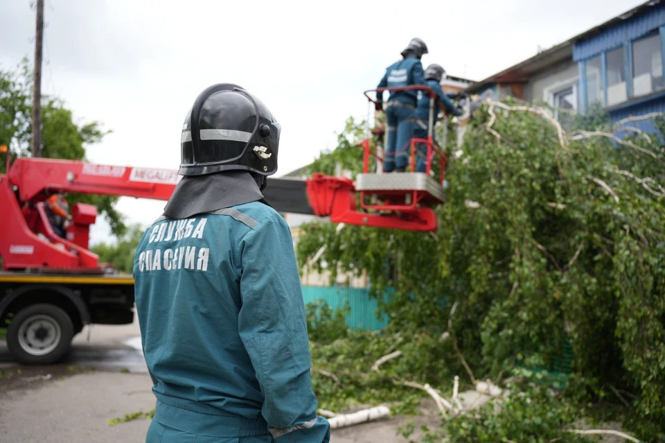 В Ульяновске от последствий вчерашнего урагана с ливнем город избавляют более 300 специалистов различных служб. ФОТО: администрация Ульяновска