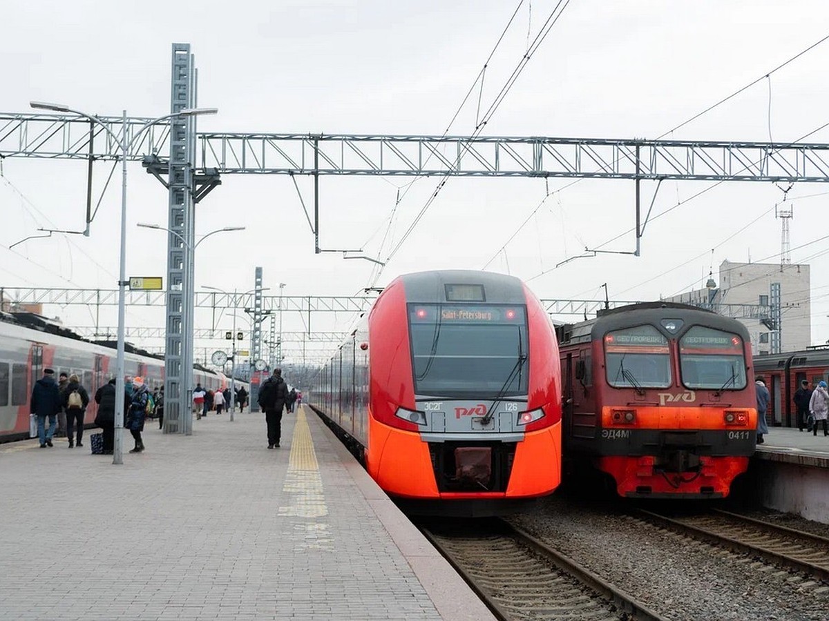 Тактовые электрички из Петербурга в Токсово и Сестрорецк запустят до конца  года - KP.RU