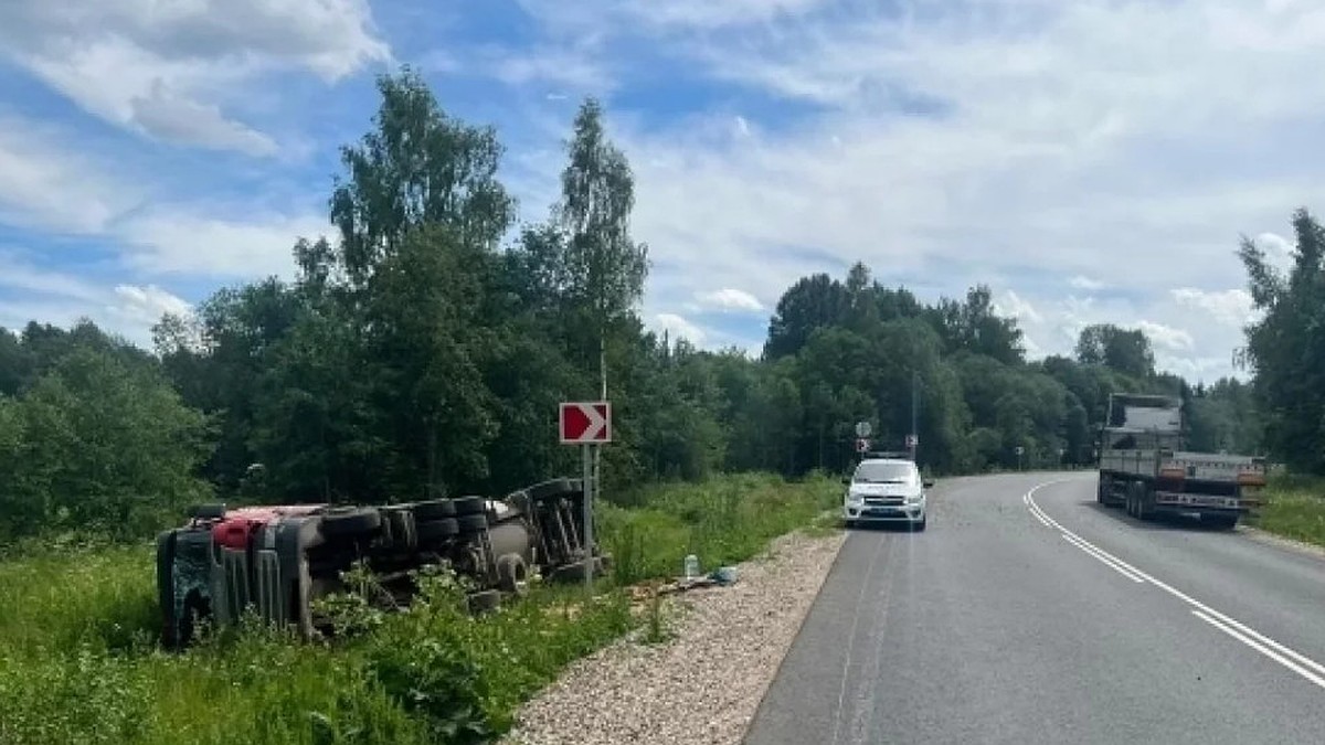 В Тверской области из-за дикого зверя опрокинулся грузовик - KP.RU