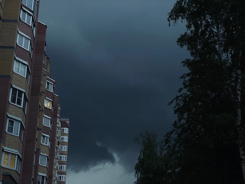 Фото: фотоархив портала КП в Костроме