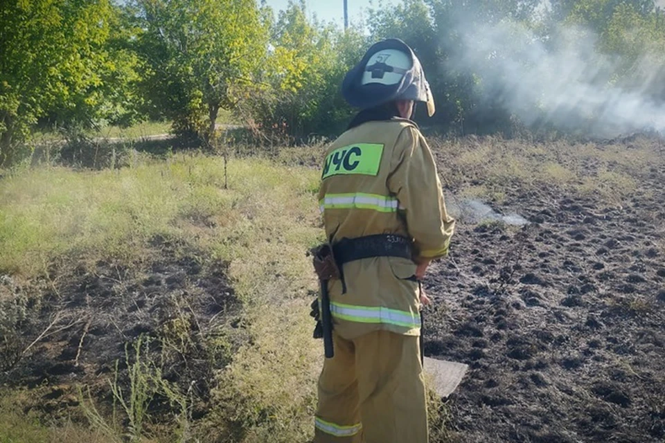 В ЛНР 20 июня на 21 природном пожаре сгорело свыше восьми гектаров сухой травы и мусора. Фото - МЧС ЛНР