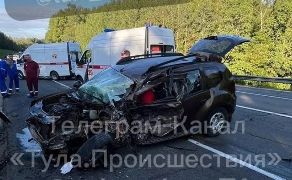 Фото: телеграм-канал "Тула. Происшествия"