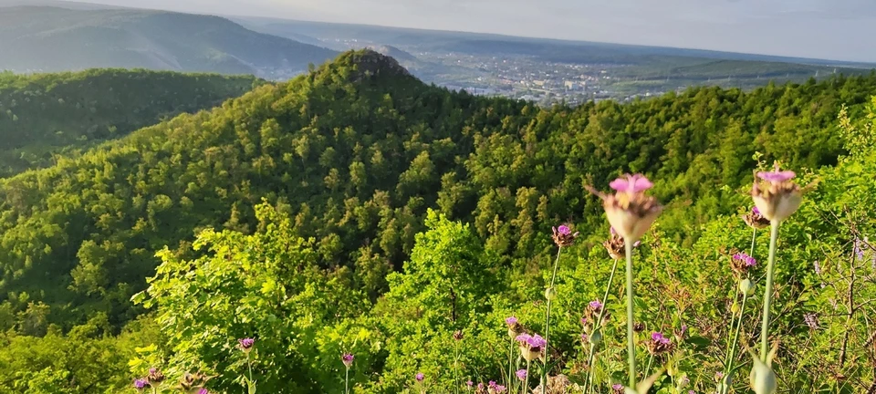 На время запрета нельзя купить билеты в нацпарк онлайн. Фото: https://vk.com/npsamluka