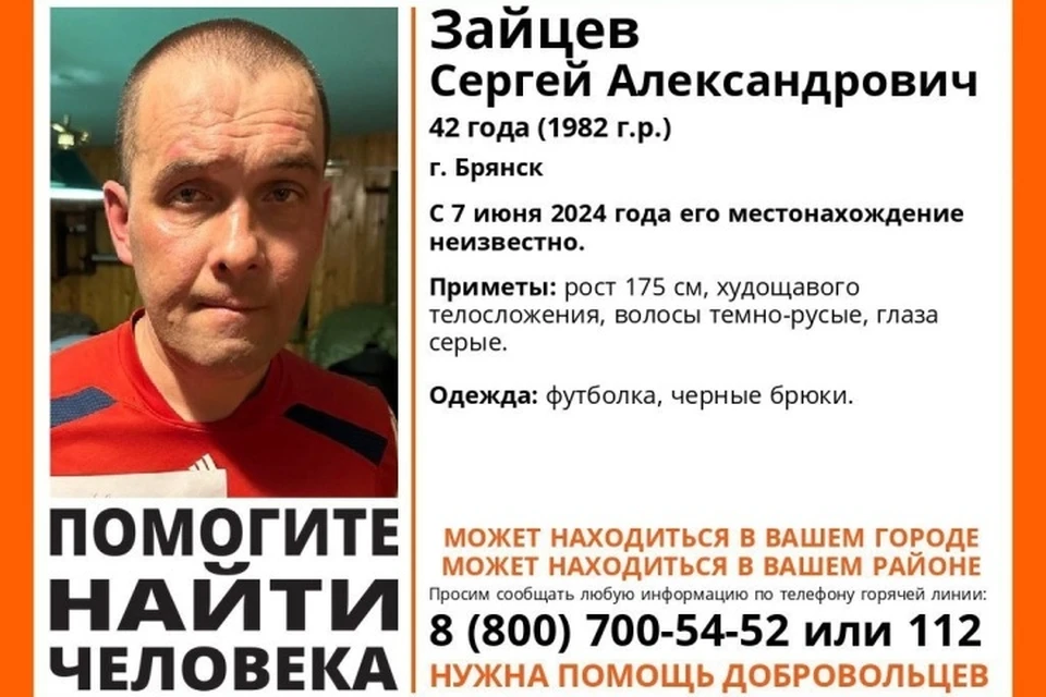 Фото: поисковый отряд "Лиза Алерт".