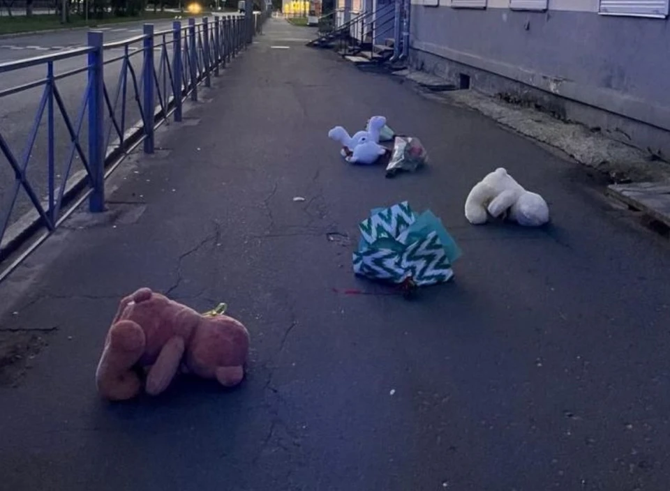 Фото: УМВД России по Владимирской области