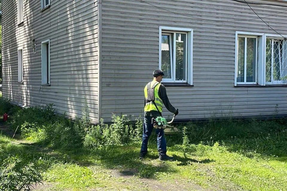 В половине дворов Иркутска скосили траву